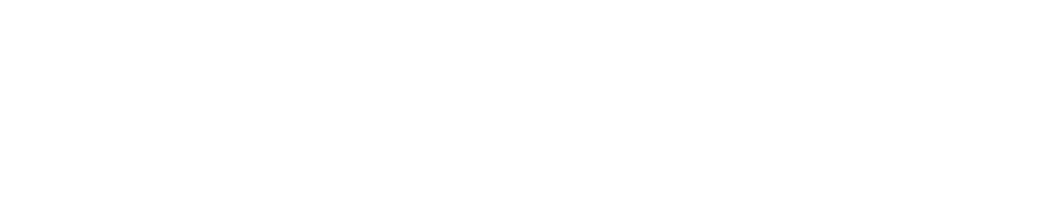 By-Hoster Logo